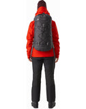 Alpha FL 30 Backpack