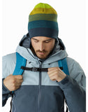 Alpha SK 32 Backpack
